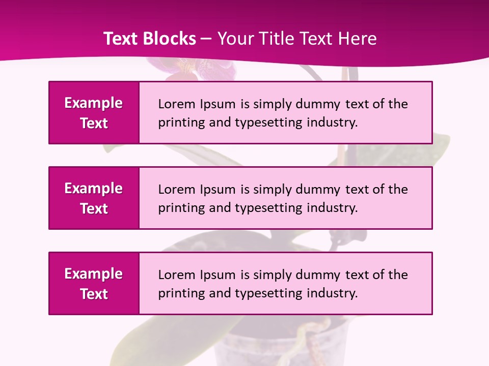 Parent Retirement Wellness PowerPoint Template