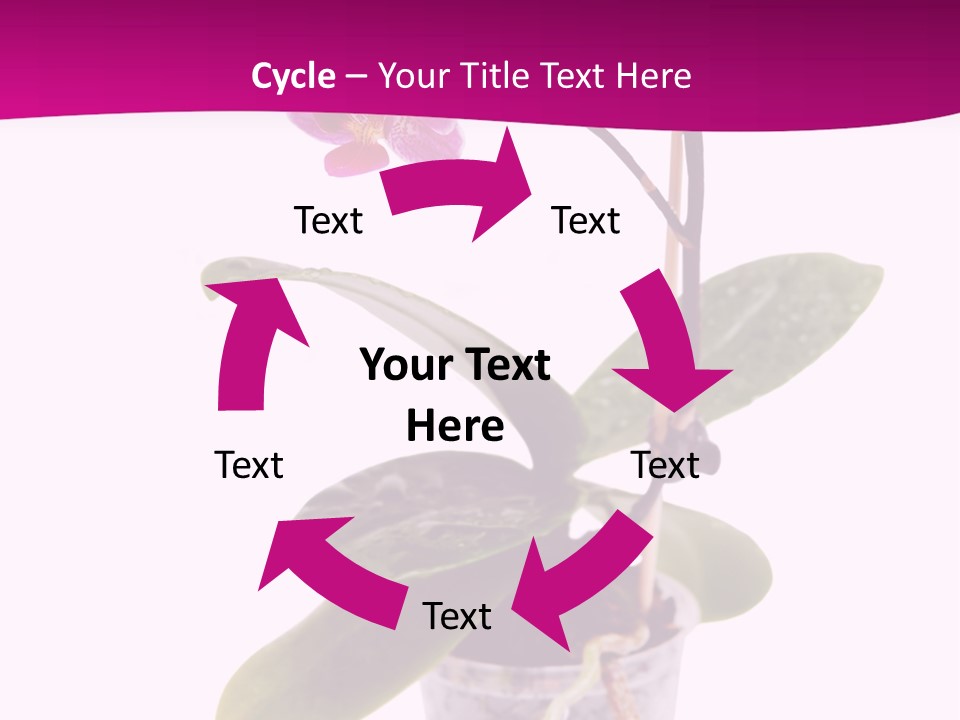 Parent Retirement Wellness PowerPoint Template