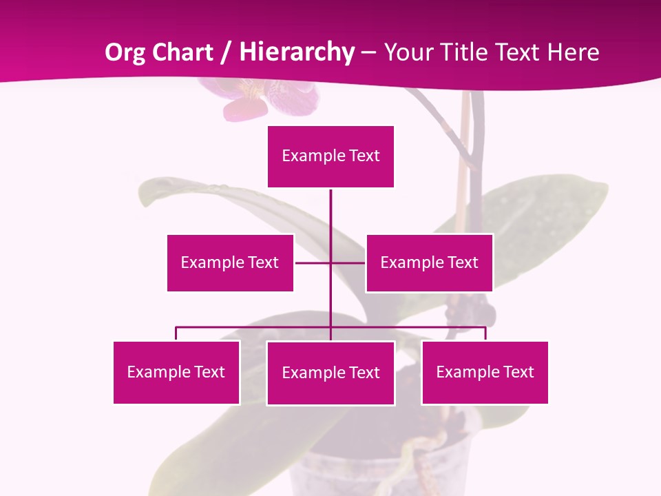 Parent Retirement Wellness PowerPoint Template