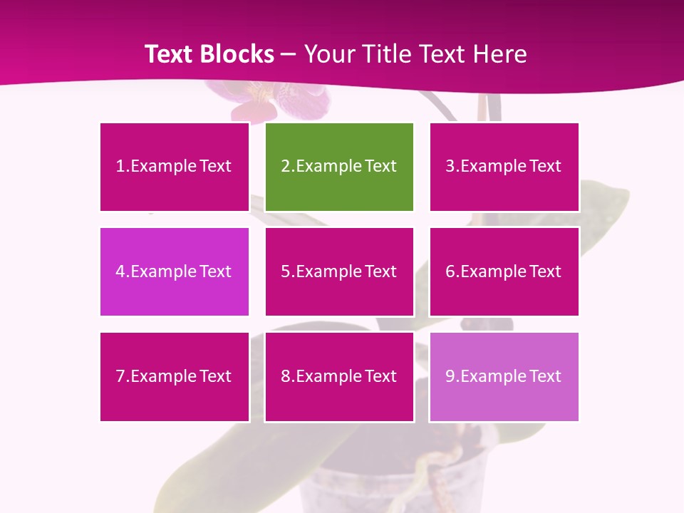 Parent Retirement Wellness PowerPoint Template