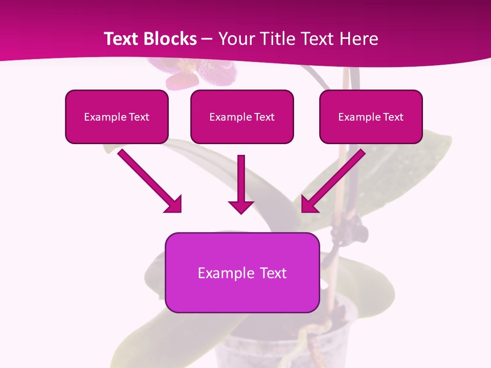 Parent Retirement Wellness PowerPoint Template