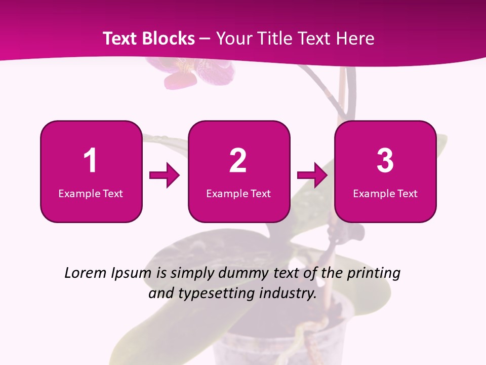 Parent Retirement Wellness PowerPoint Template