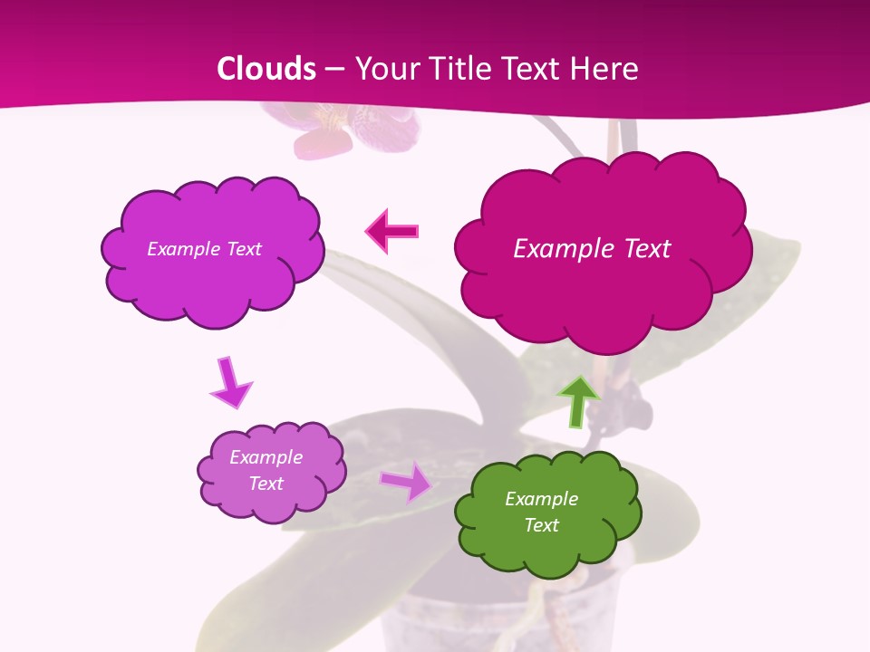 Parent Retirement Wellness PowerPoint Template
