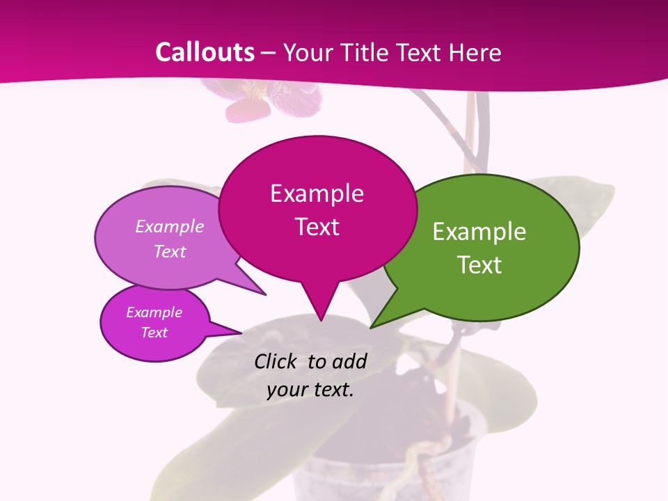 Parent Retirement Wellness PowerPoint Template