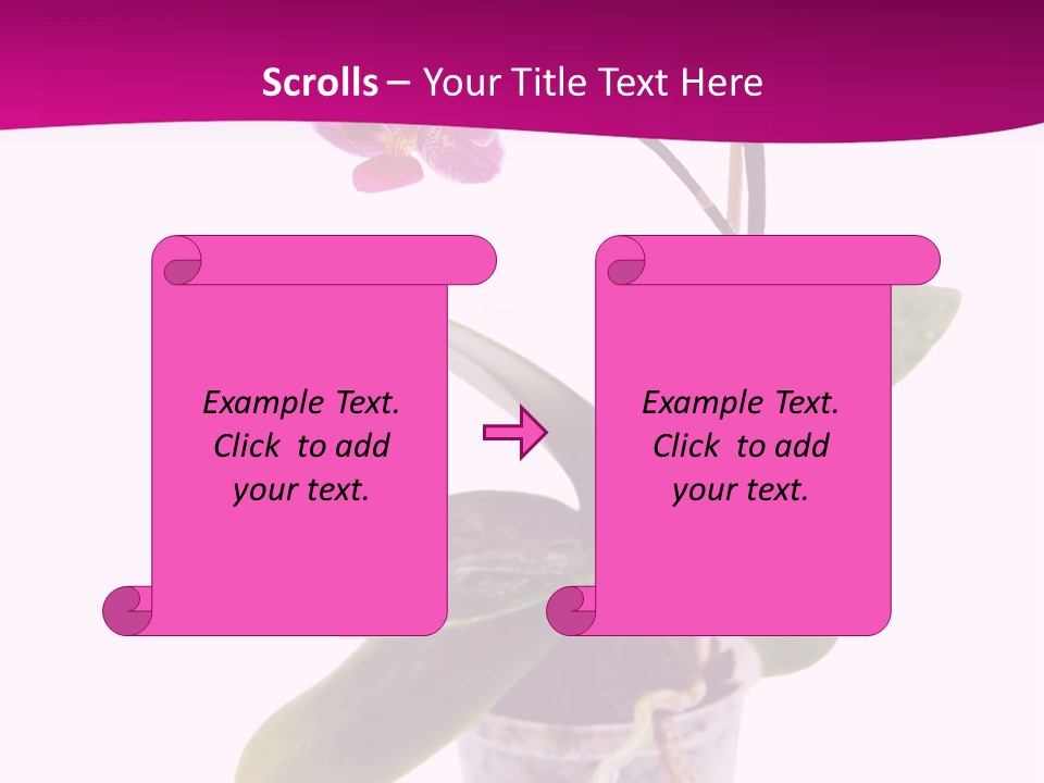 Parent Retirement Wellness PowerPoint Template