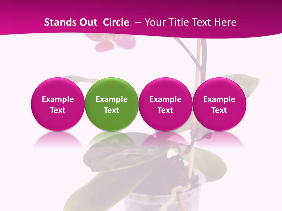 Parent Retirement Wellness PowerPoint Template