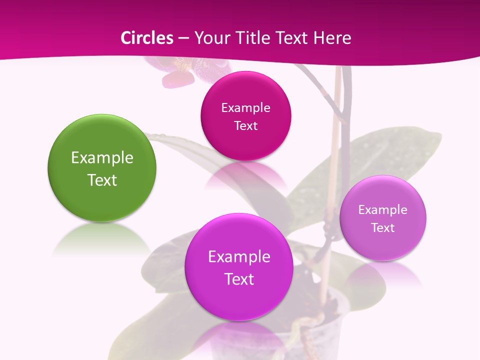 Parent Retirement Wellness PowerPoint Template