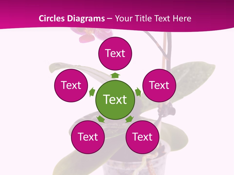 Parent Retirement Wellness PowerPoint Template