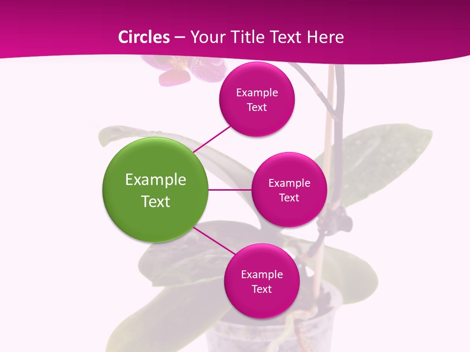 Parent Retirement Wellness PowerPoint Template