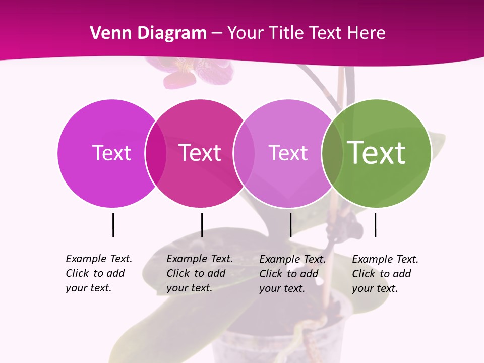 Parent Retirement Wellness PowerPoint Template