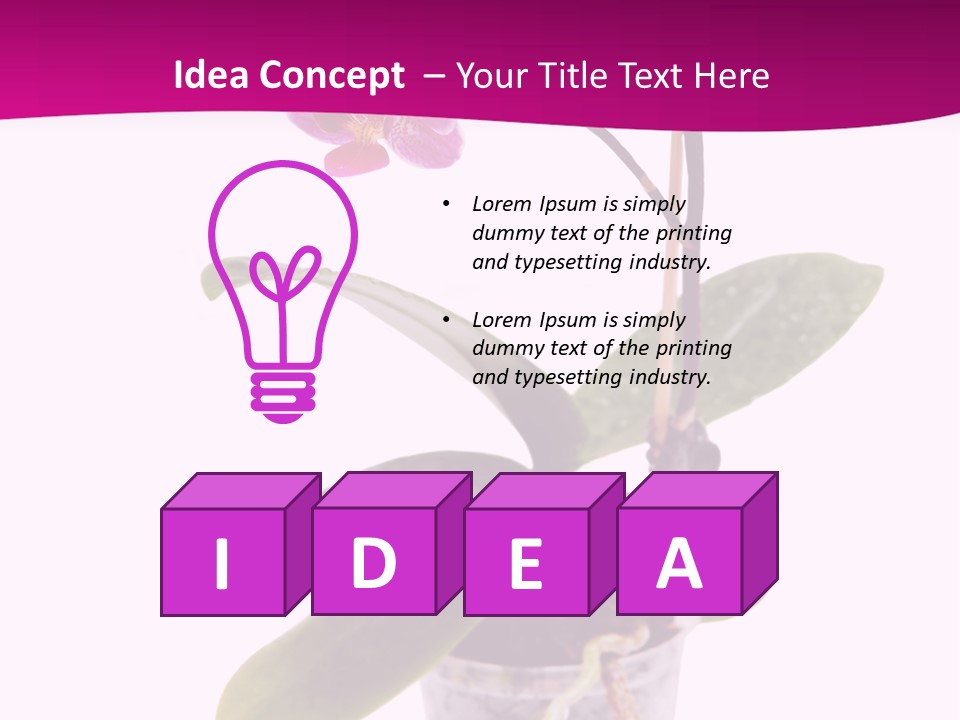 Parent Retirement Wellness PowerPoint Template