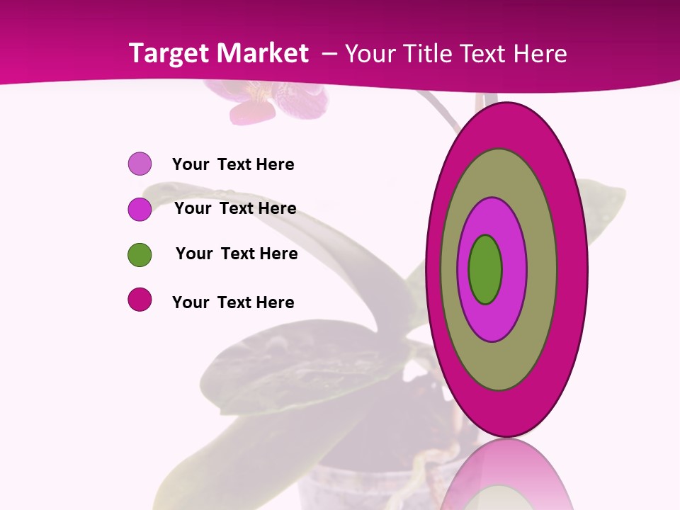 Parent Retirement Wellness PowerPoint Template