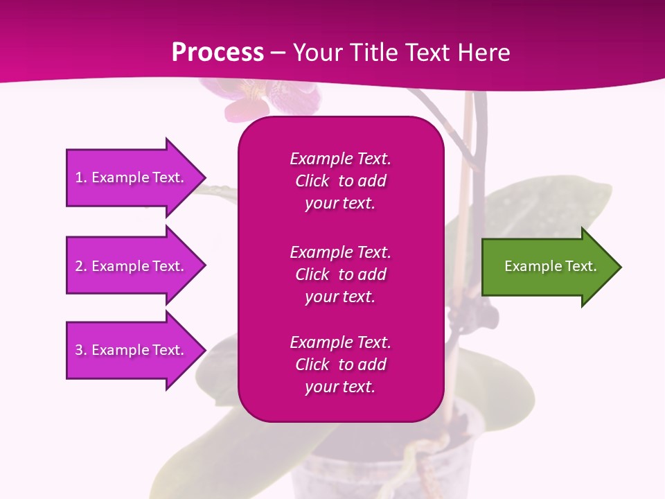 Parent Retirement Wellness PowerPoint Template