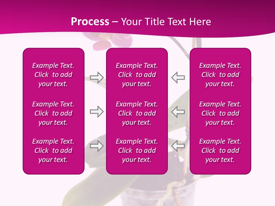 Parent Retirement Wellness PowerPoint Template