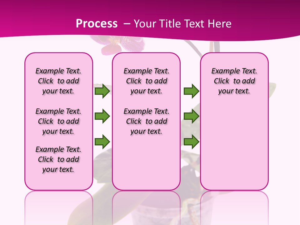 Parent Retirement Wellness PowerPoint Template