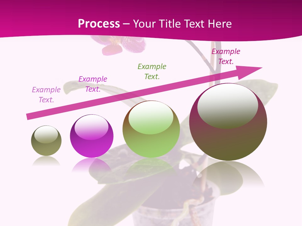 Parent Retirement Wellness PowerPoint Template