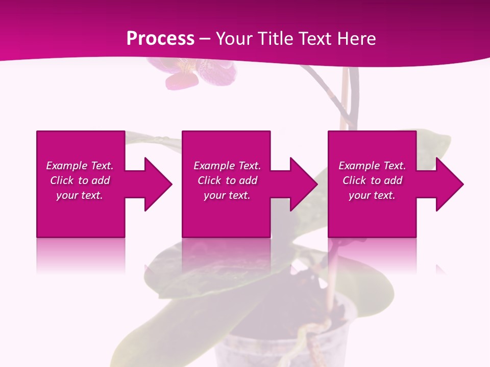 Parent Retirement Wellness PowerPoint Template