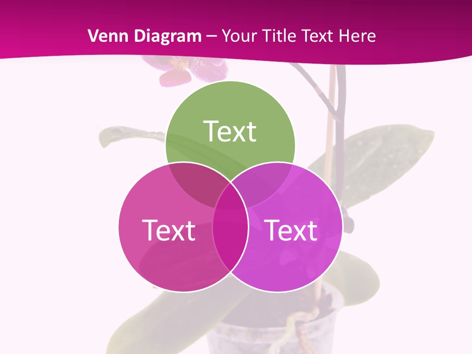 Parent Retirement Wellness PowerPoint Template