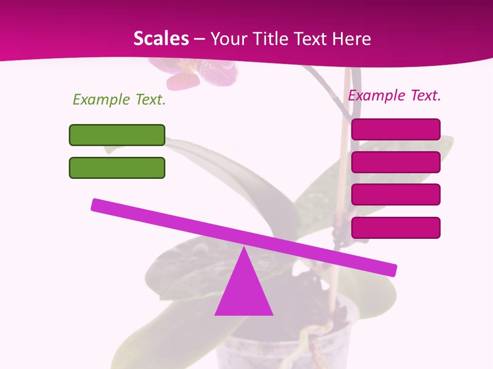 Parent Retirement Wellness PowerPoint Template