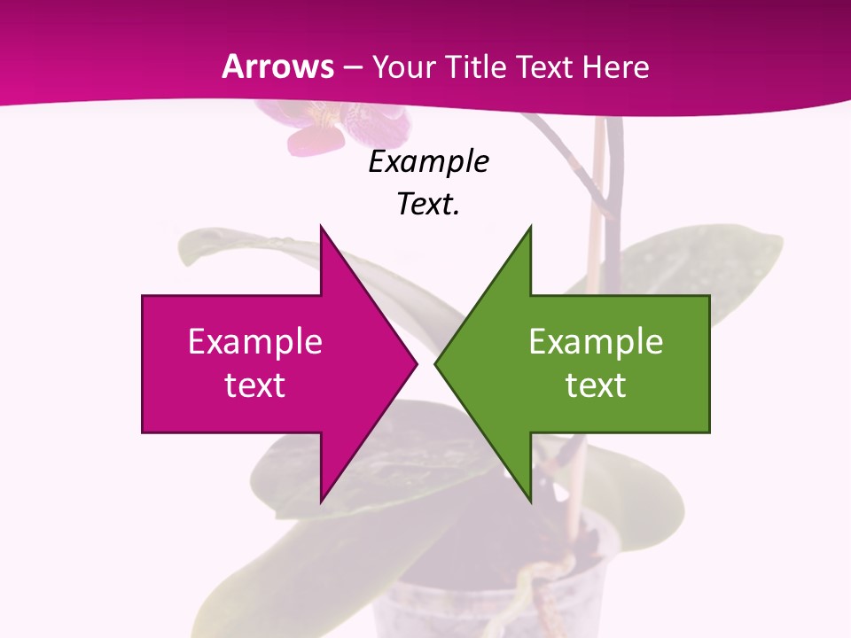 Parent Retirement Wellness PowerPoint Template