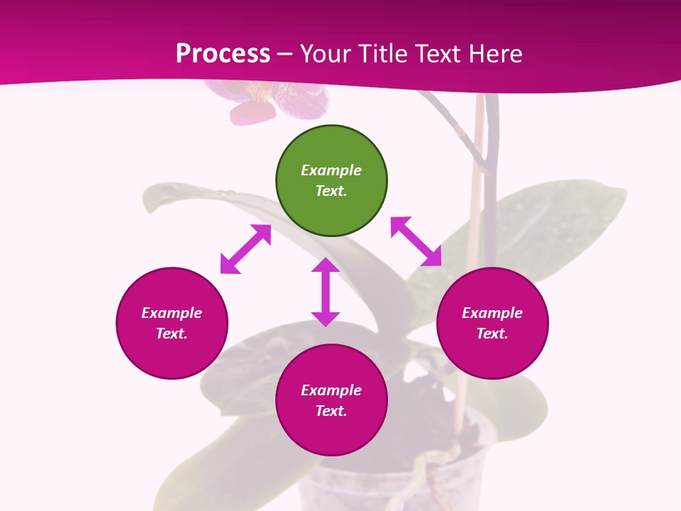 Parent Retirement Wellness PowerPoint Template