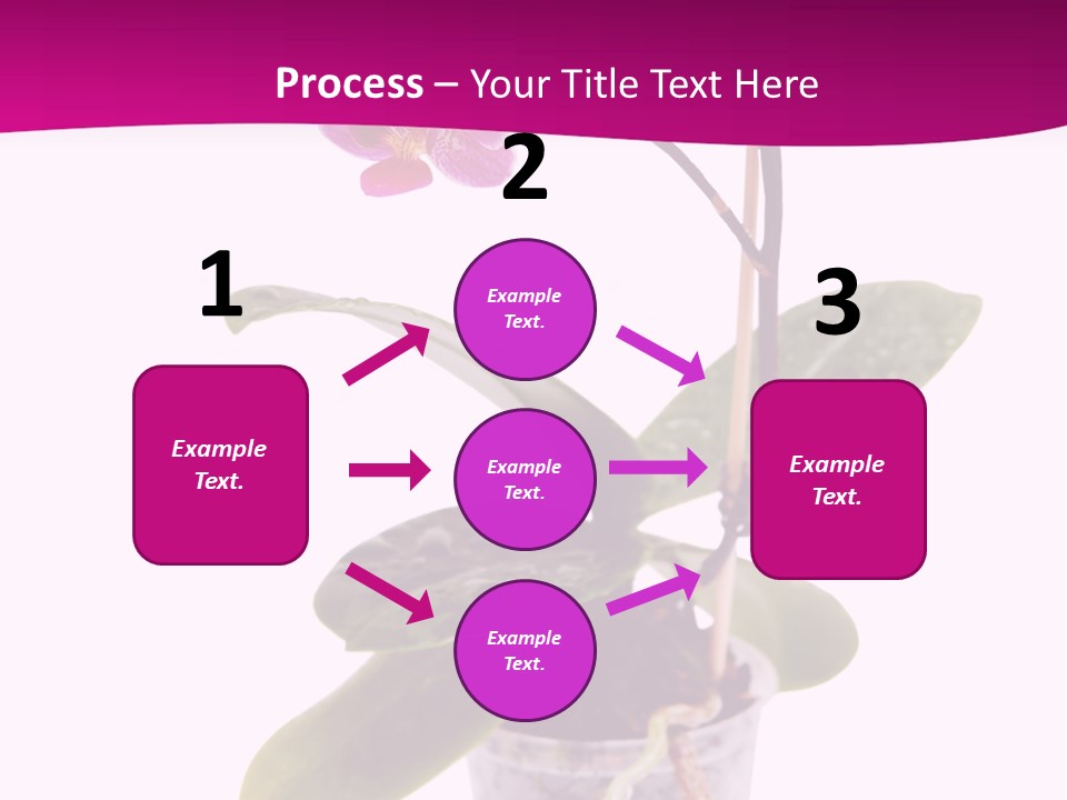 Parent Retirement Wellness PowerPoint Template