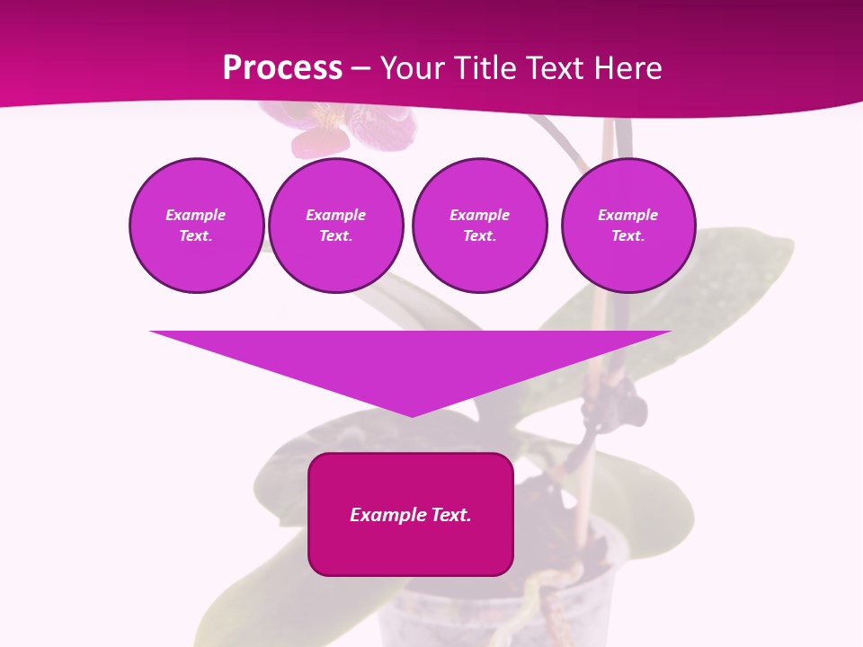 Parent Retirement Wellness PowerPoint Template