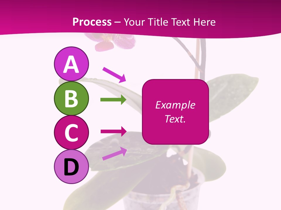 Parent Retirement Wellness PowerPoint Template