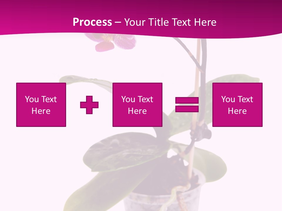 Parent Retirement Wellness PowerPoint Template