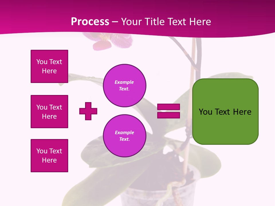 Parent Retirement Wellness PowerPoint Template