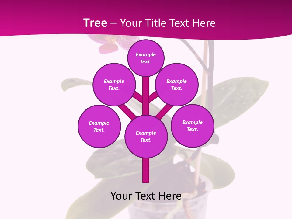 Parent Retirement Wellness PowerPoint Template