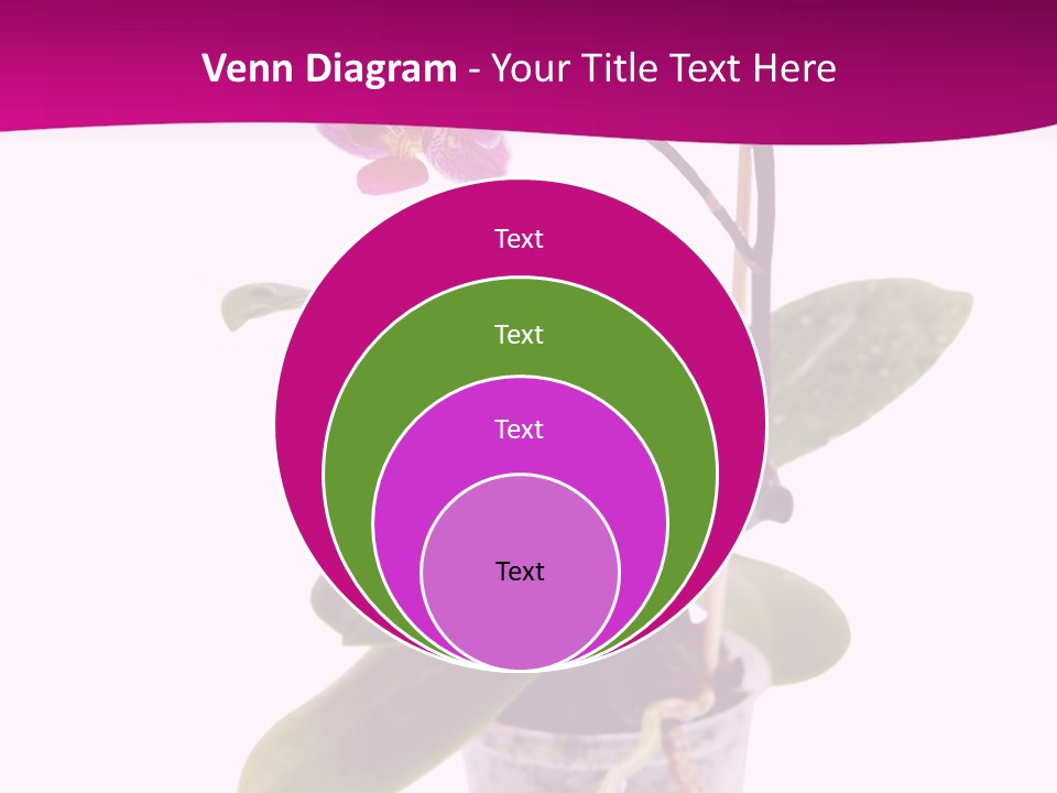 Parent Retirement Wellness PowerPoint Template