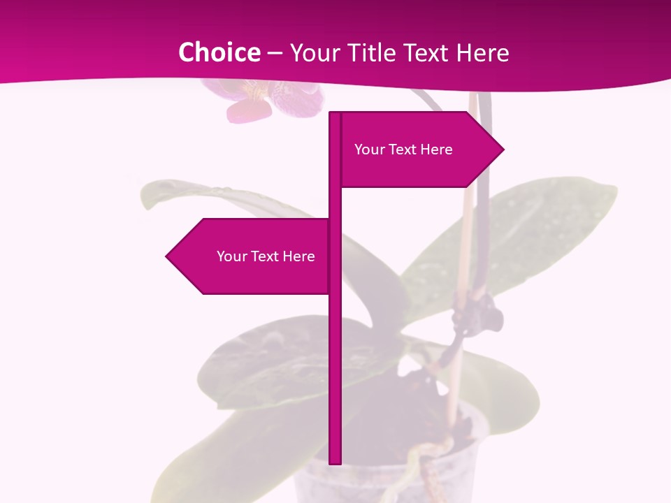 Parent Retirement Wellness PowerPoint Template