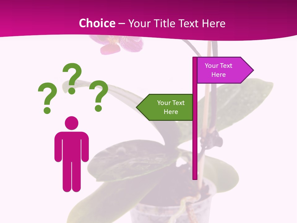 Parent Retirement Wellness PowerPoint Template