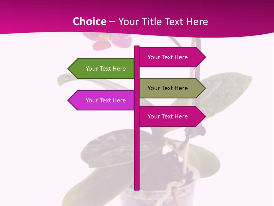 Parent Retirement Wellness PowerPoint Template