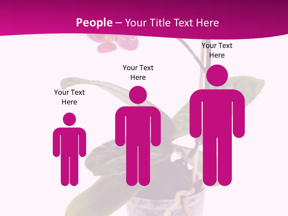 Parent Retirement Wellness PowerPoint Template