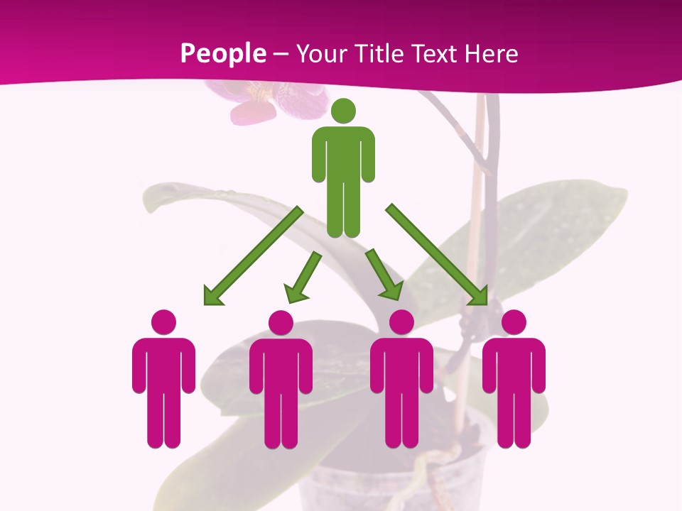 Parent Retirement Wellness PowerPoint Template