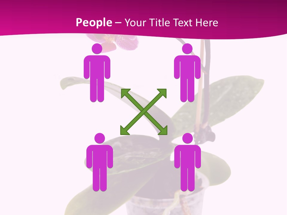 Parent Retirement Wellness PowerPoint Template