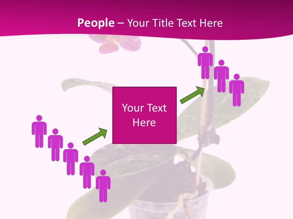 Parent Retirement Wellness PowerPoint Template