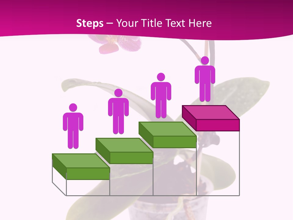 Parent Retirement Wellness PowerPoint Template