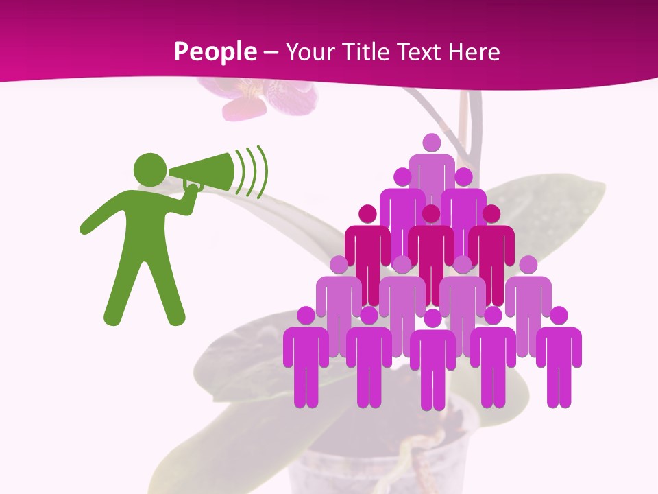 Parent Retirement Wellness PowerPoint Template