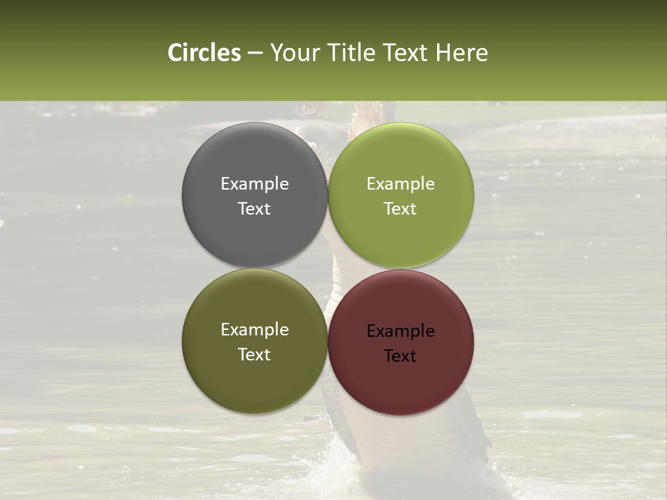 Pensioner Parent Coast PowerPoint Template