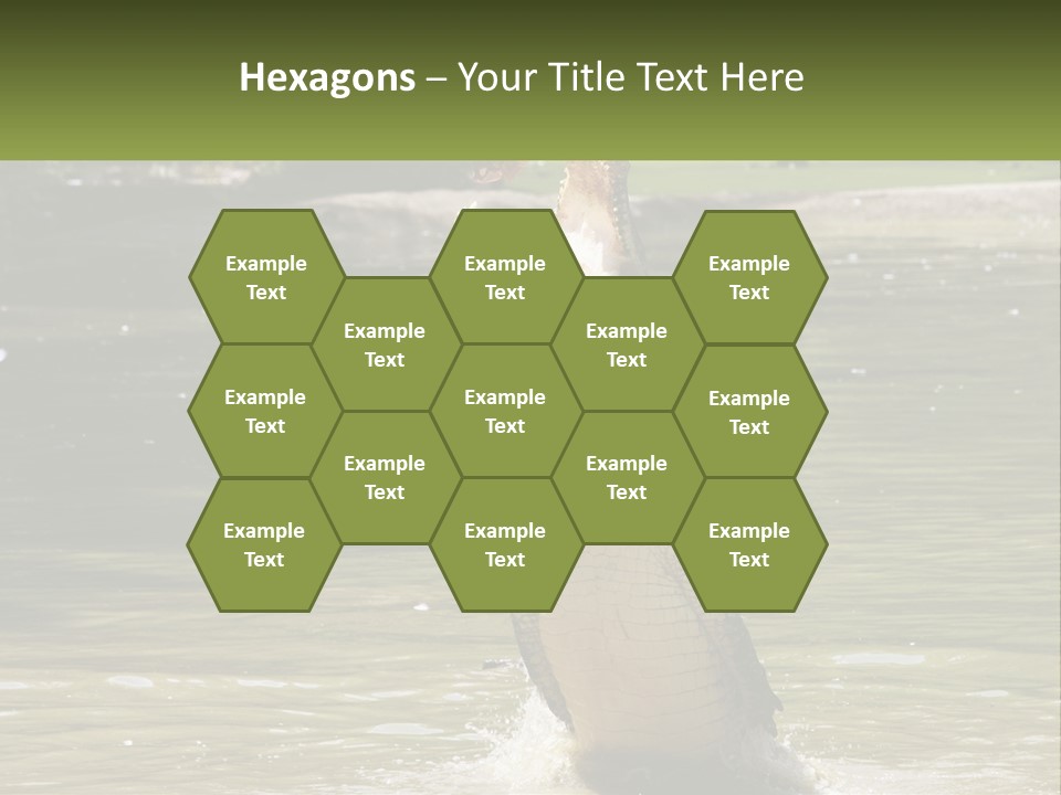 Pensioner Parent Coast PowerPoint Template