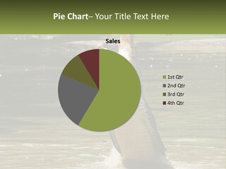 Pensioner Parent Coast PowerPoint Template