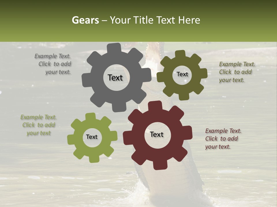 Pensioner Parent Coast PowerPoint Template