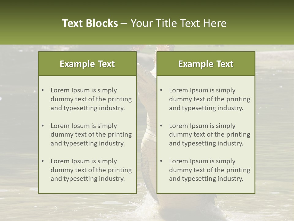 Pensioner Parent Coast PowerPoint Template