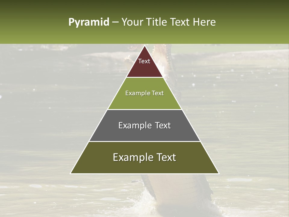 Pensioner Parent Coast PowerPoint Template