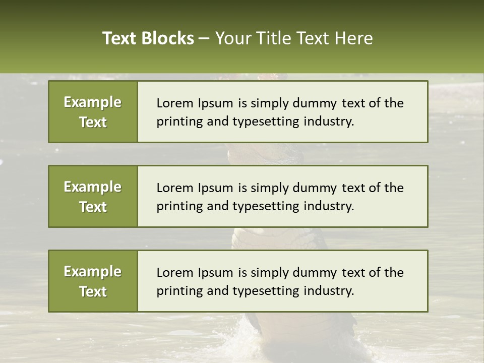 Pensioner Parent Coast PowerPoint Template