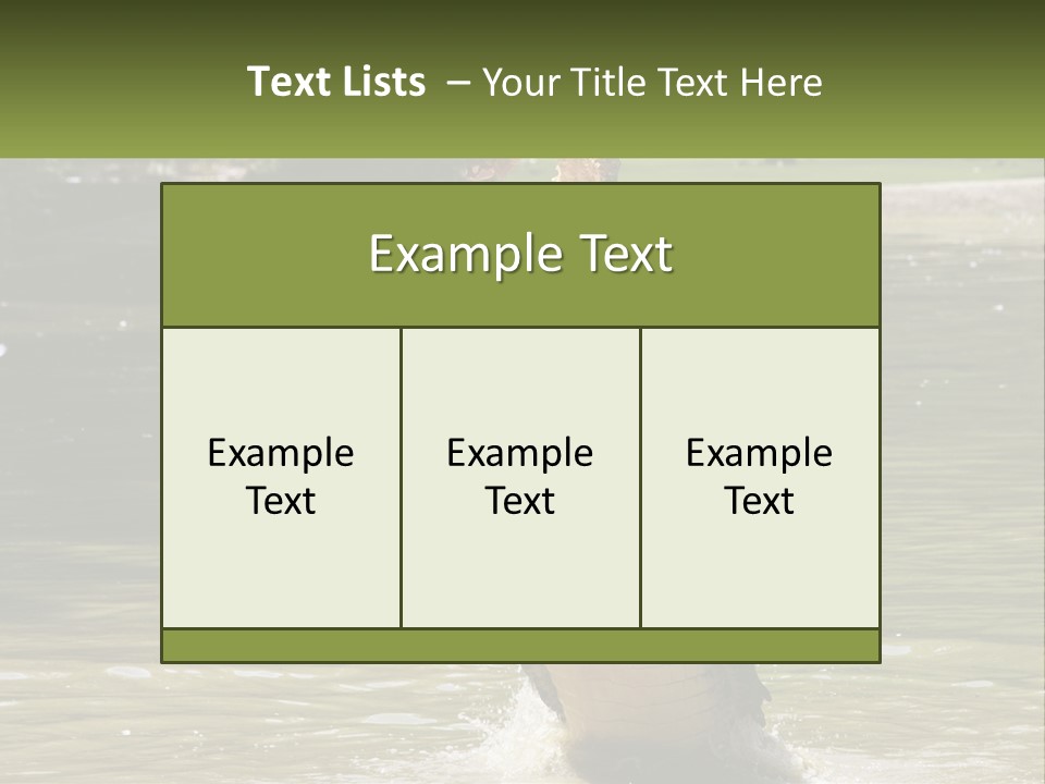 Pensioner Parent Coast PowerPoint Template