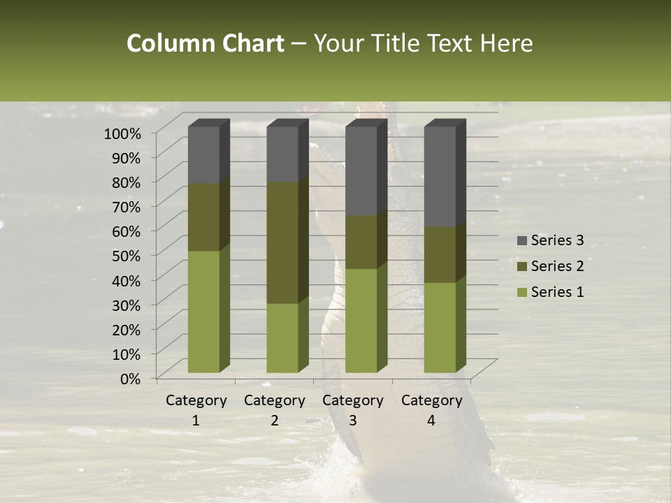 Pensioner Parent Coast PowerPoint Template